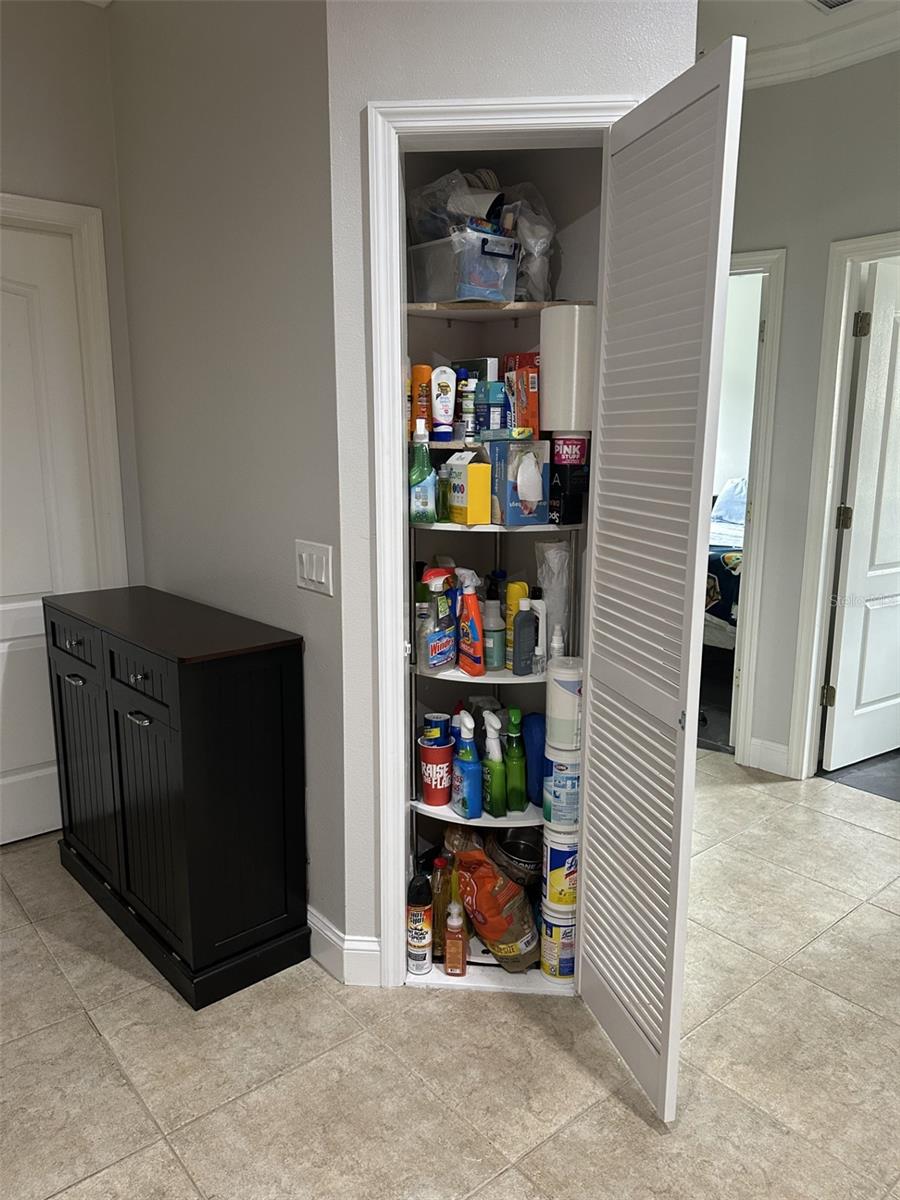 19113 DOVES LANDING DR, TAMPA, FL, 33647