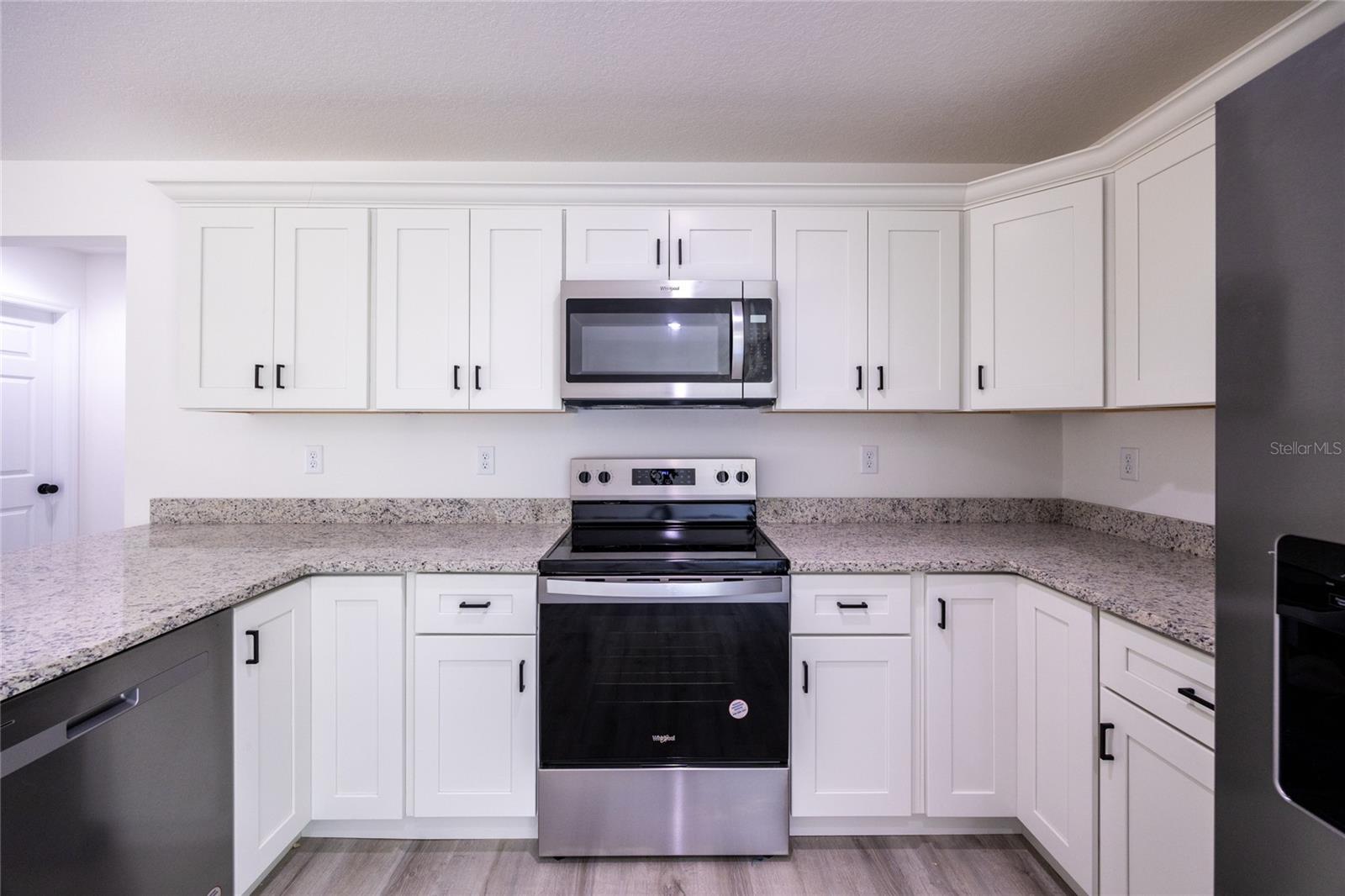 61 FISHER WAY CRSE, OCKLAWAHA, FL, 32179