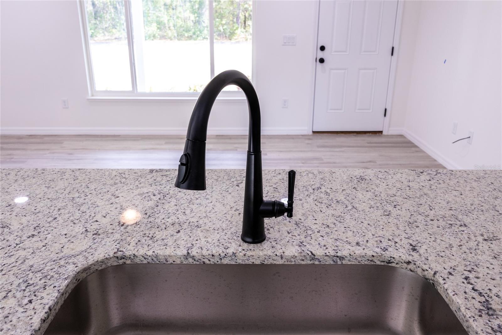 61 FISHER WAY CRSE, OCKLAWAHA, FL, 32179