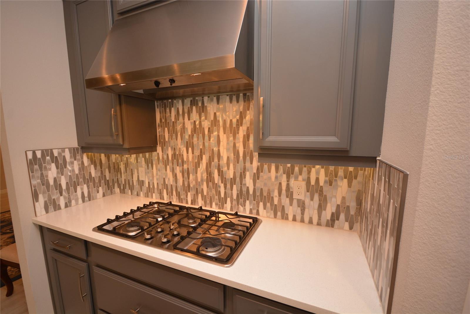 1120 LAKESIDE ESTATES DR, APOPKA, FL, 32703