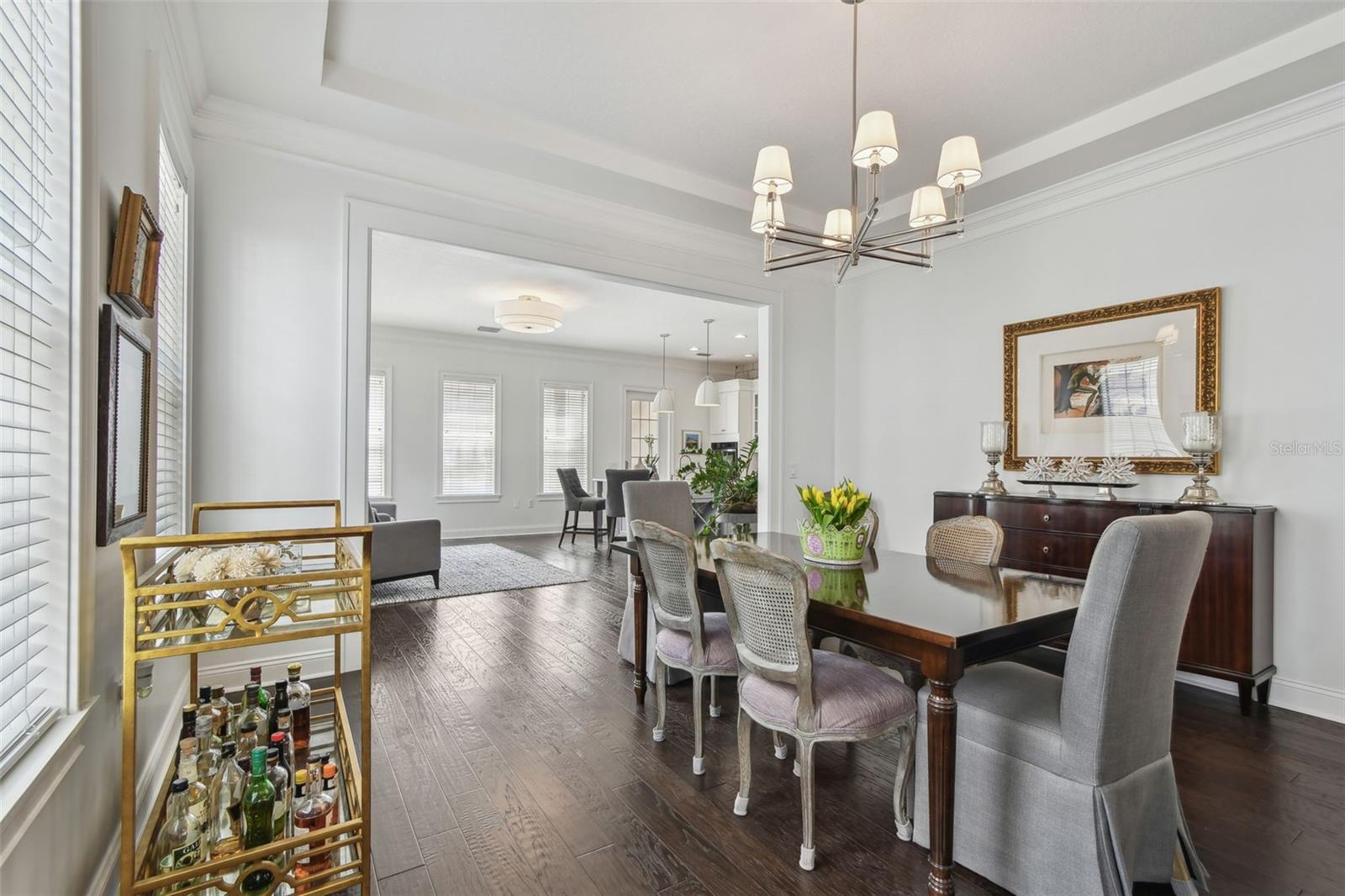 471 GILMAN CT N, ST PETERSBURG, FL, 33716