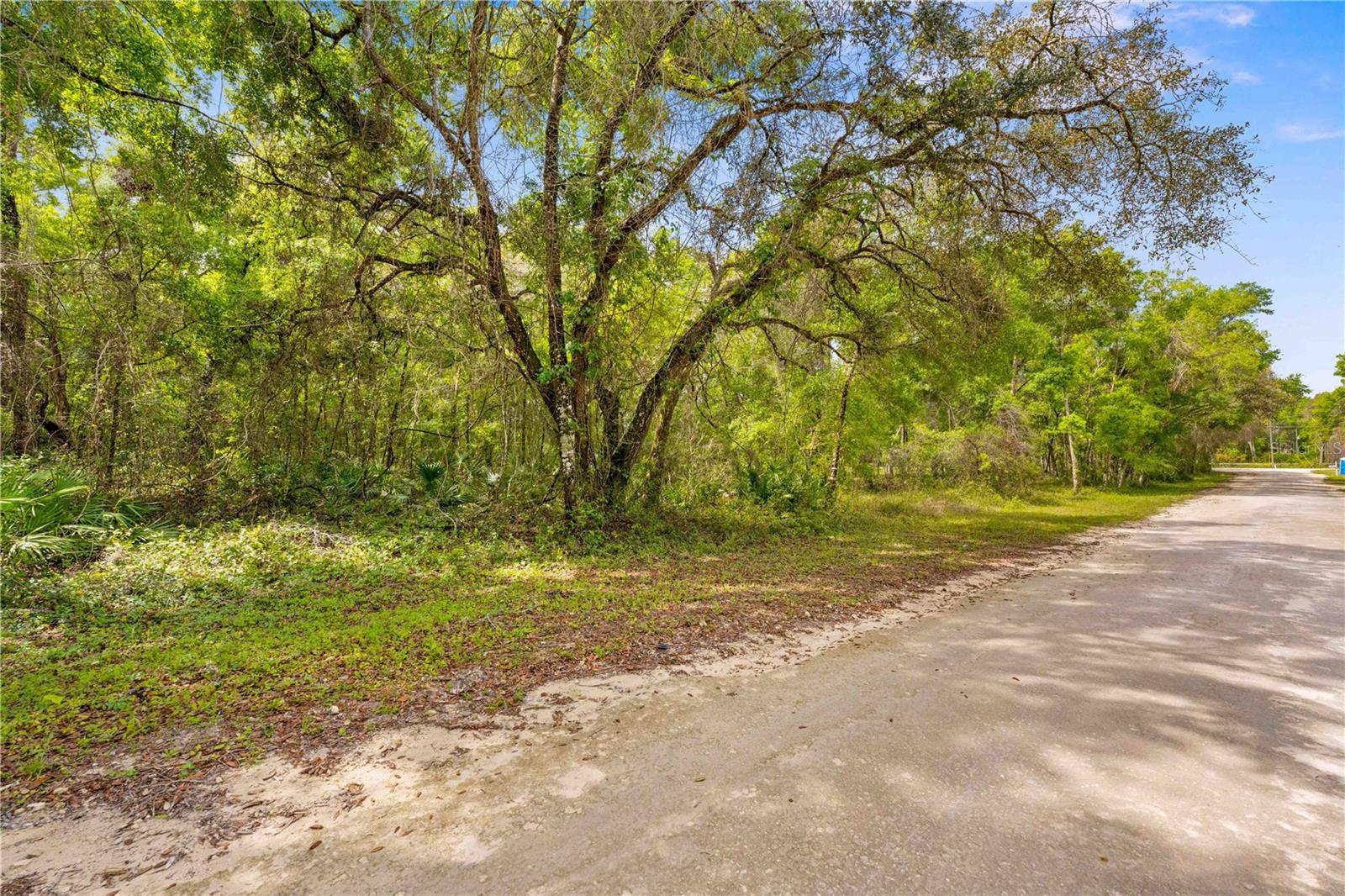 32468 SQUARE STONE ST, WEBSTER, FL, 33597