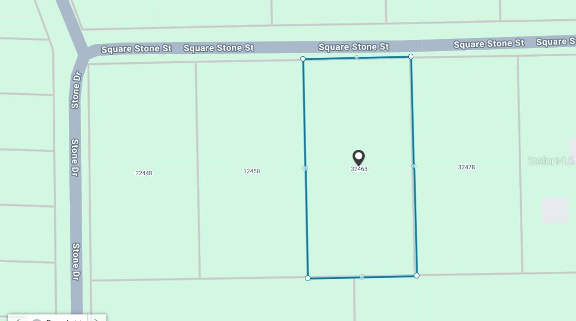 32468 SQUARE STONE ST, WEBSTER, FL, 33597
