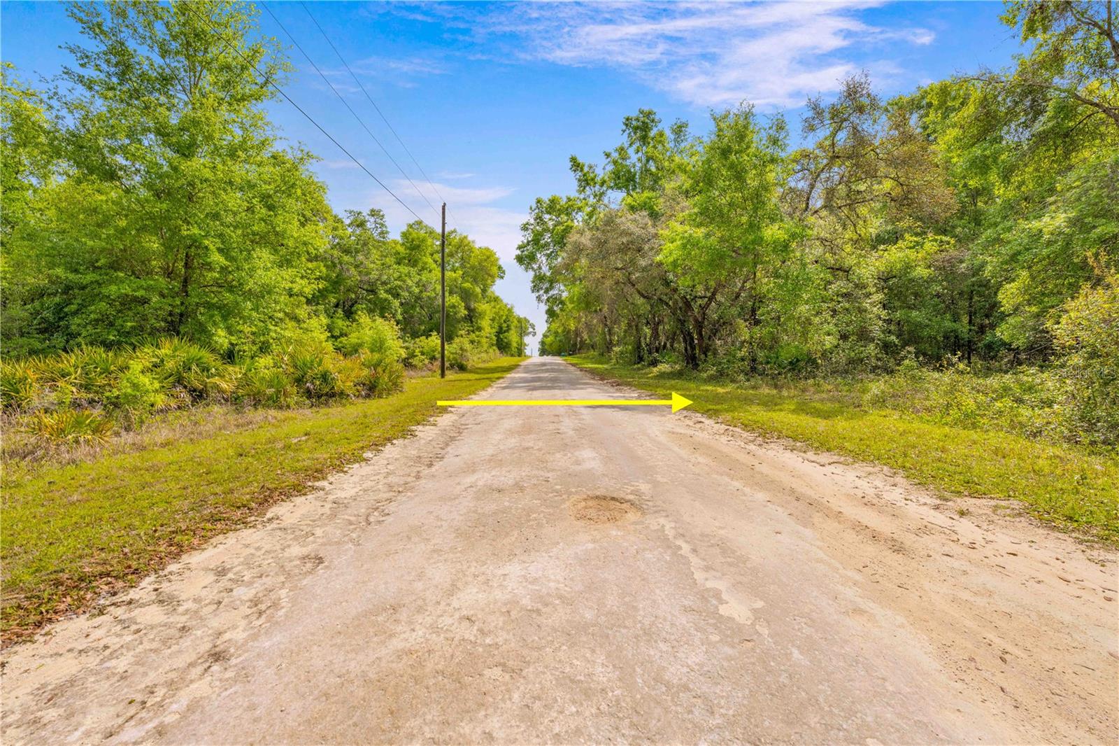 32468 SQUARE STONE ST, WEBSTER, FL, 33597