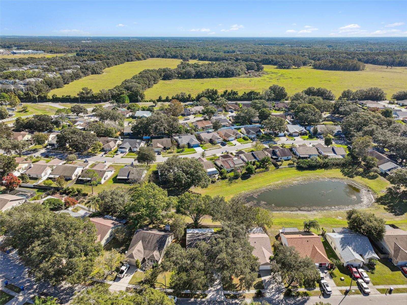 1604 COBBLER DR, LUTZ, FL, 33559