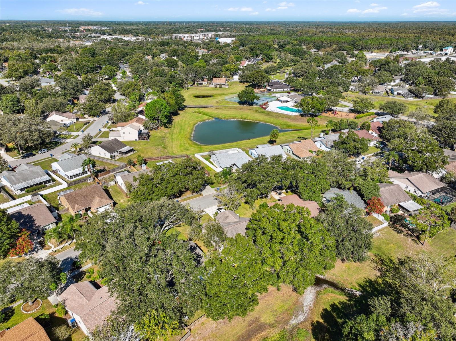 1604 COBBLER DR, LUTZ, FL, 33559