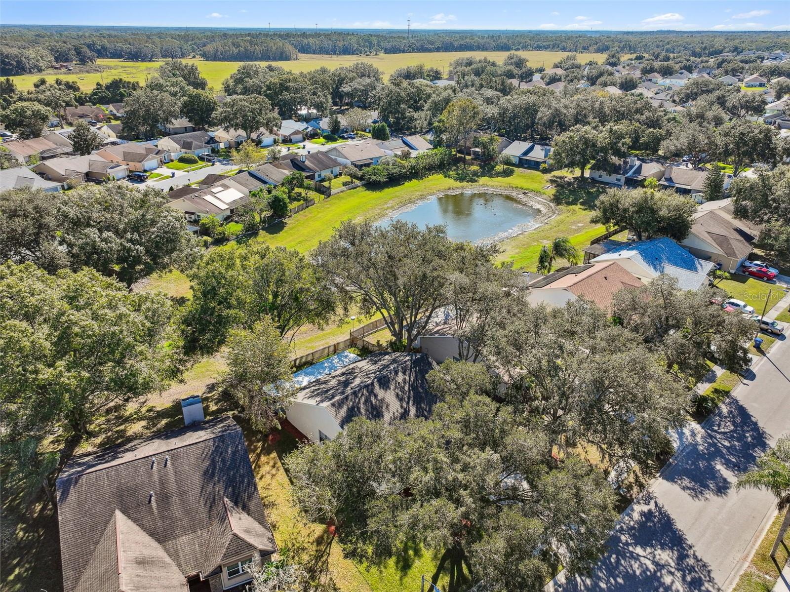 1604 COBBLER DR, LUTZ, FL, 33559