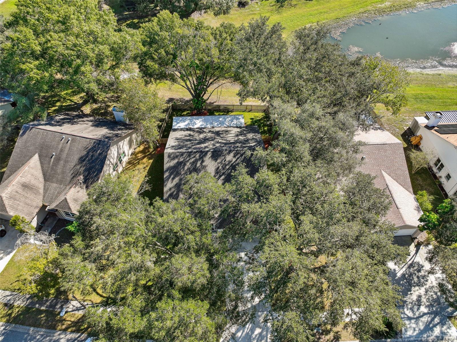 1604 COBBLER DR, LUTZ, FL, 33559