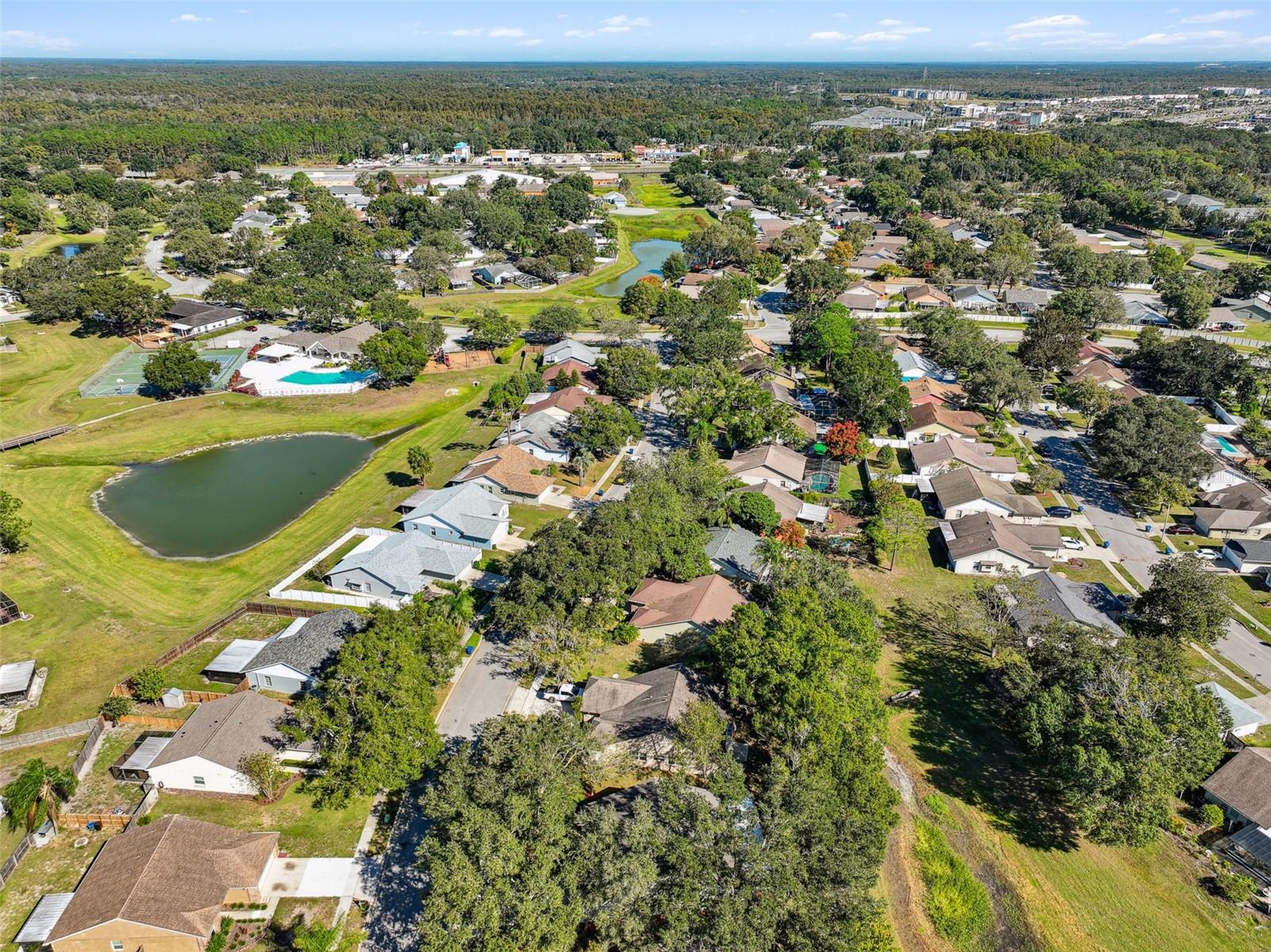 1604 COBBLER DR, LUTZ, FL, 33559