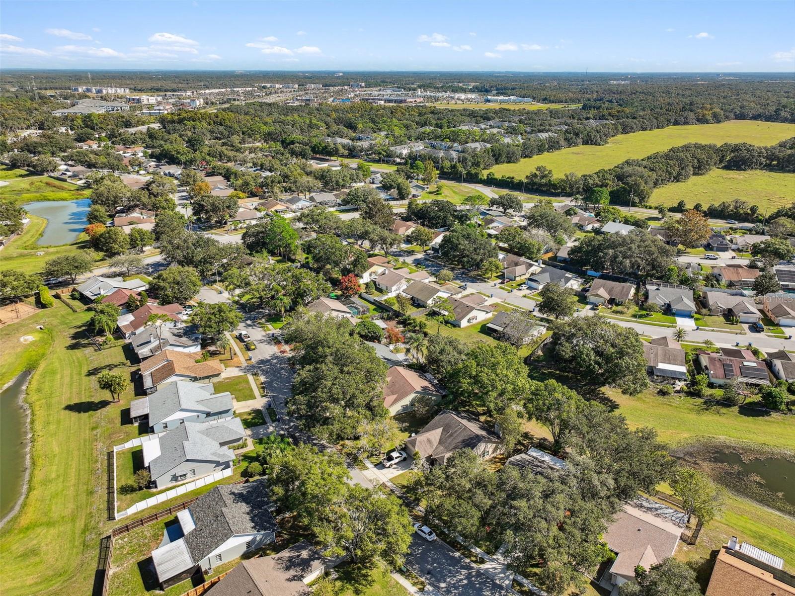 1604 COBBLER DR, LUTZ, FL, 33559