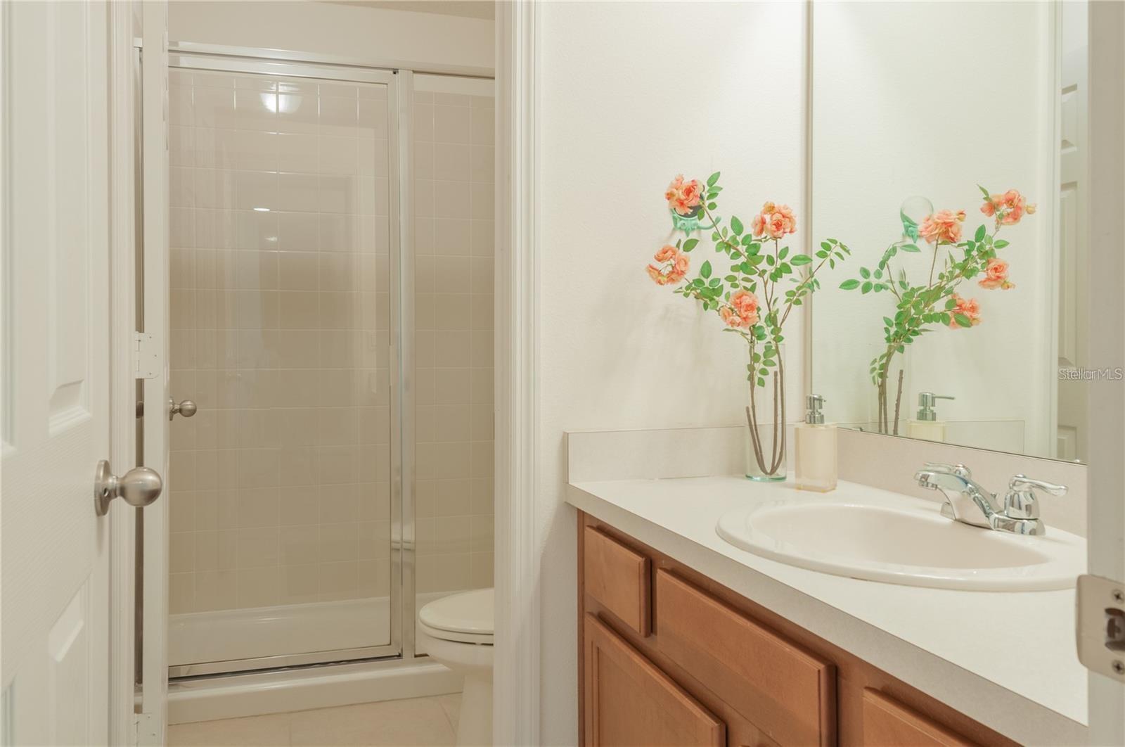 3809 MT VERNON WAY, KISSIMMEE, FL, 34741