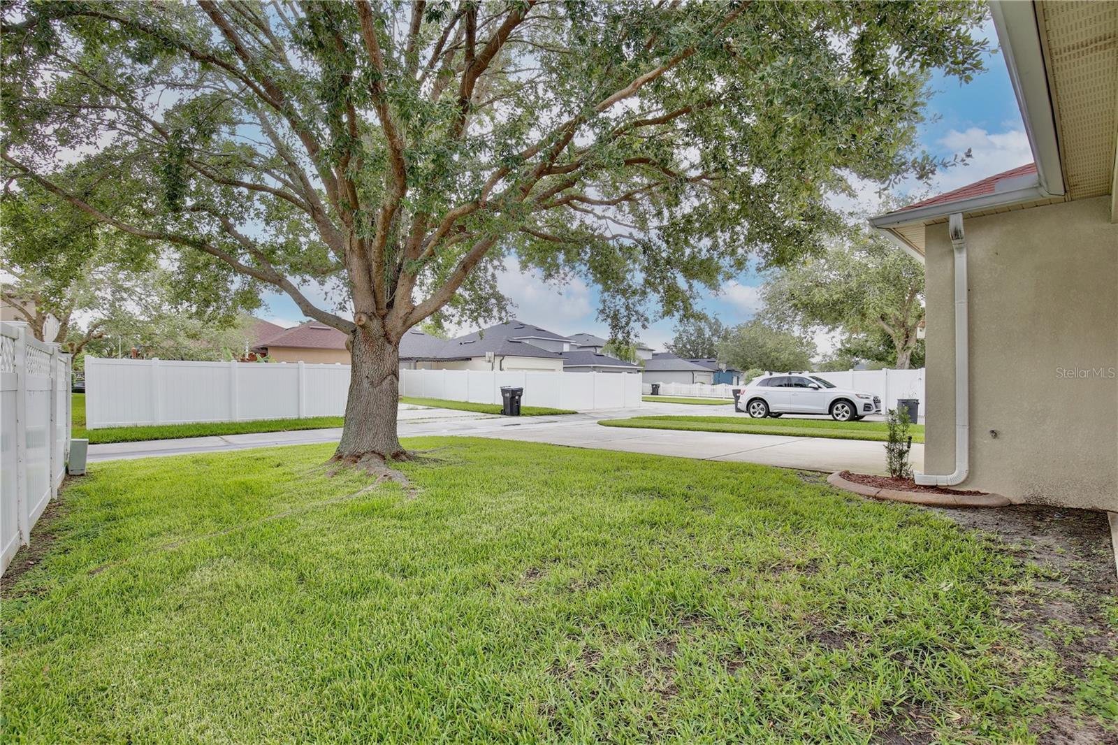 14717 ROYAL POINCIANA DR, ORLANDO, FL, 32828