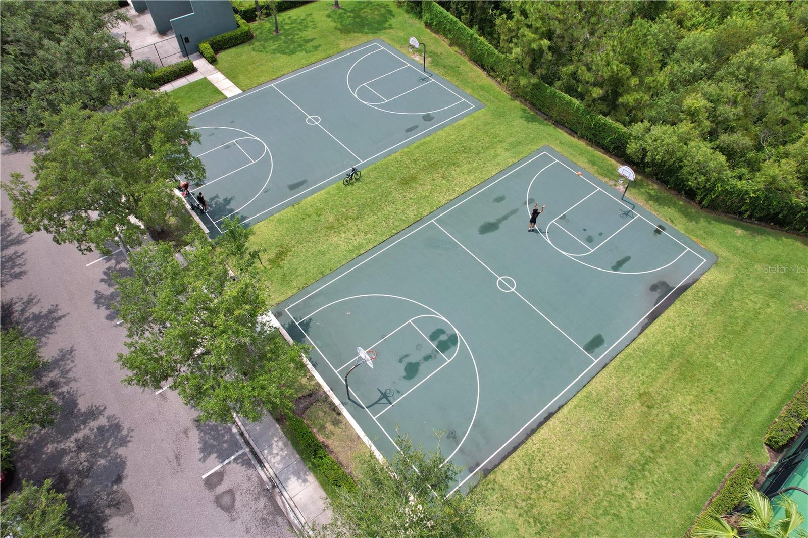 14717 ROYAL POINCIANA DR, ORLANDO, FL, 32828