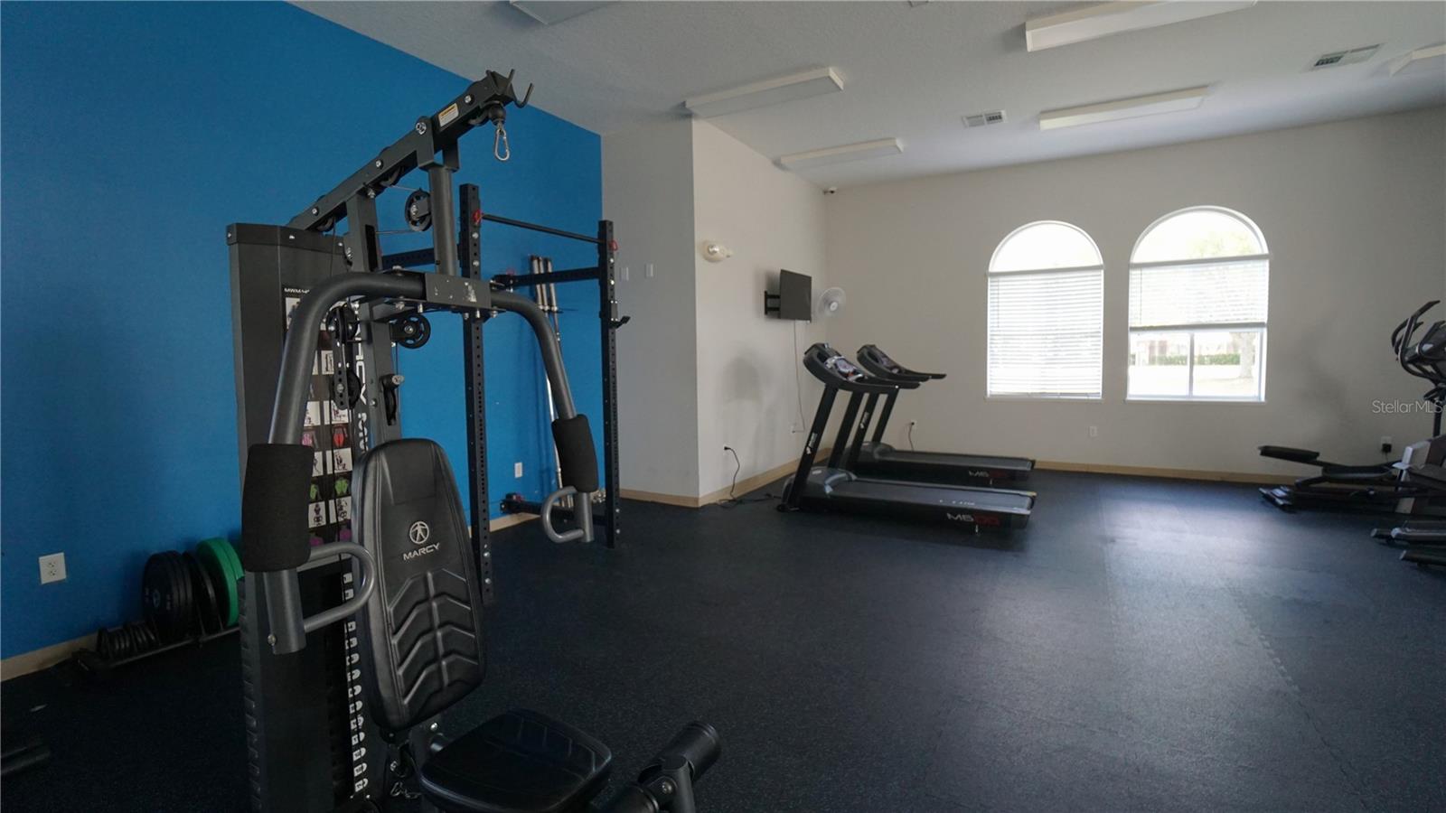 146 ESSEX PL, DAVENPORT, FL, 33896