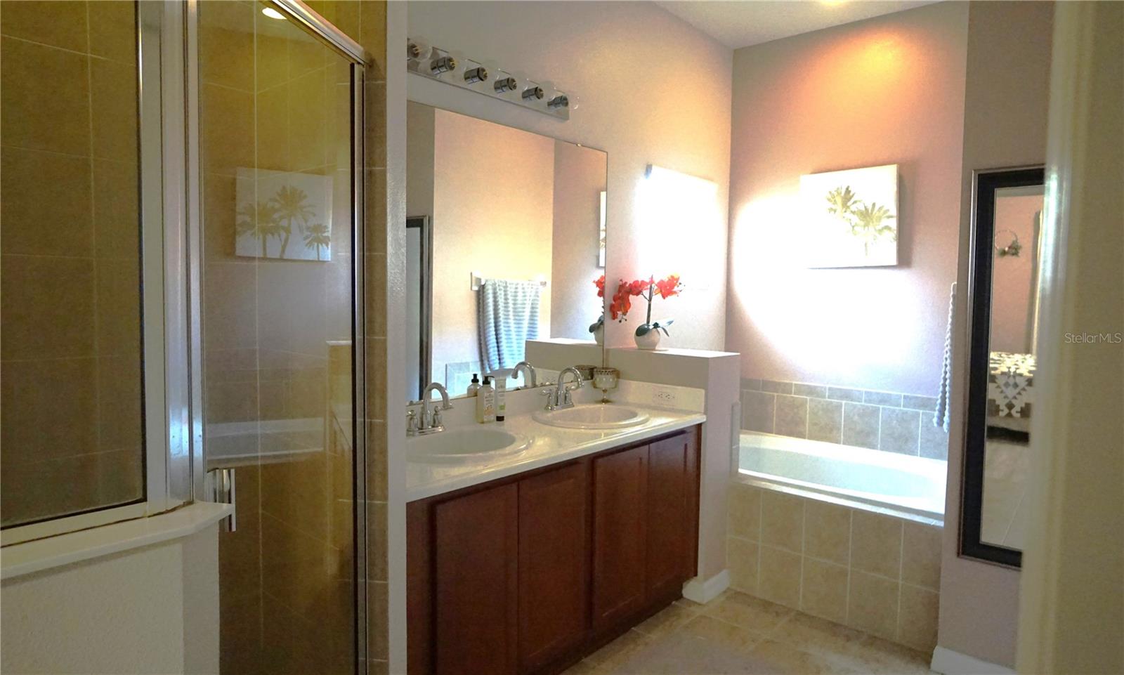 146 ESSEX PL, DAVENPORT, FL, 33896