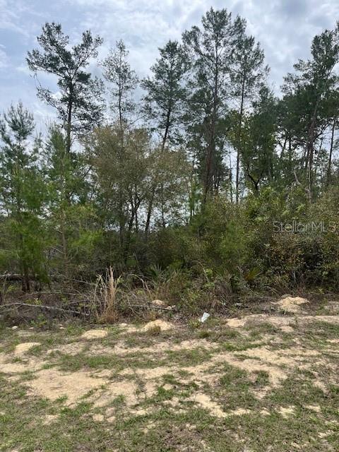 41ST CIRCLE, OCALA, FL, 34473