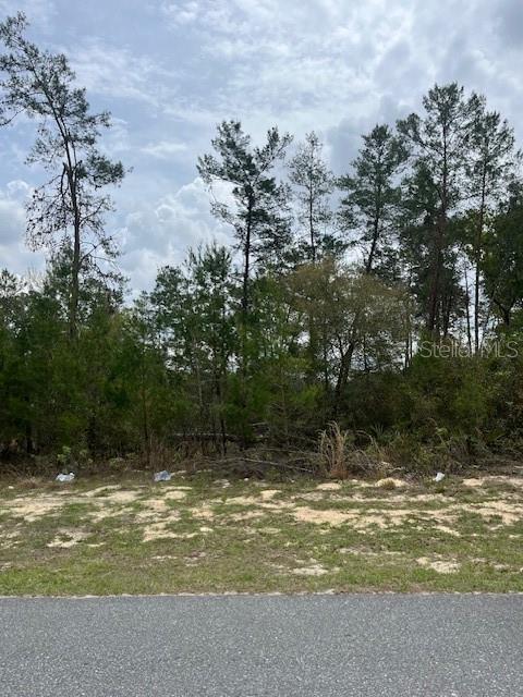 41ST CIRCLE, OCALA, FL, 34473