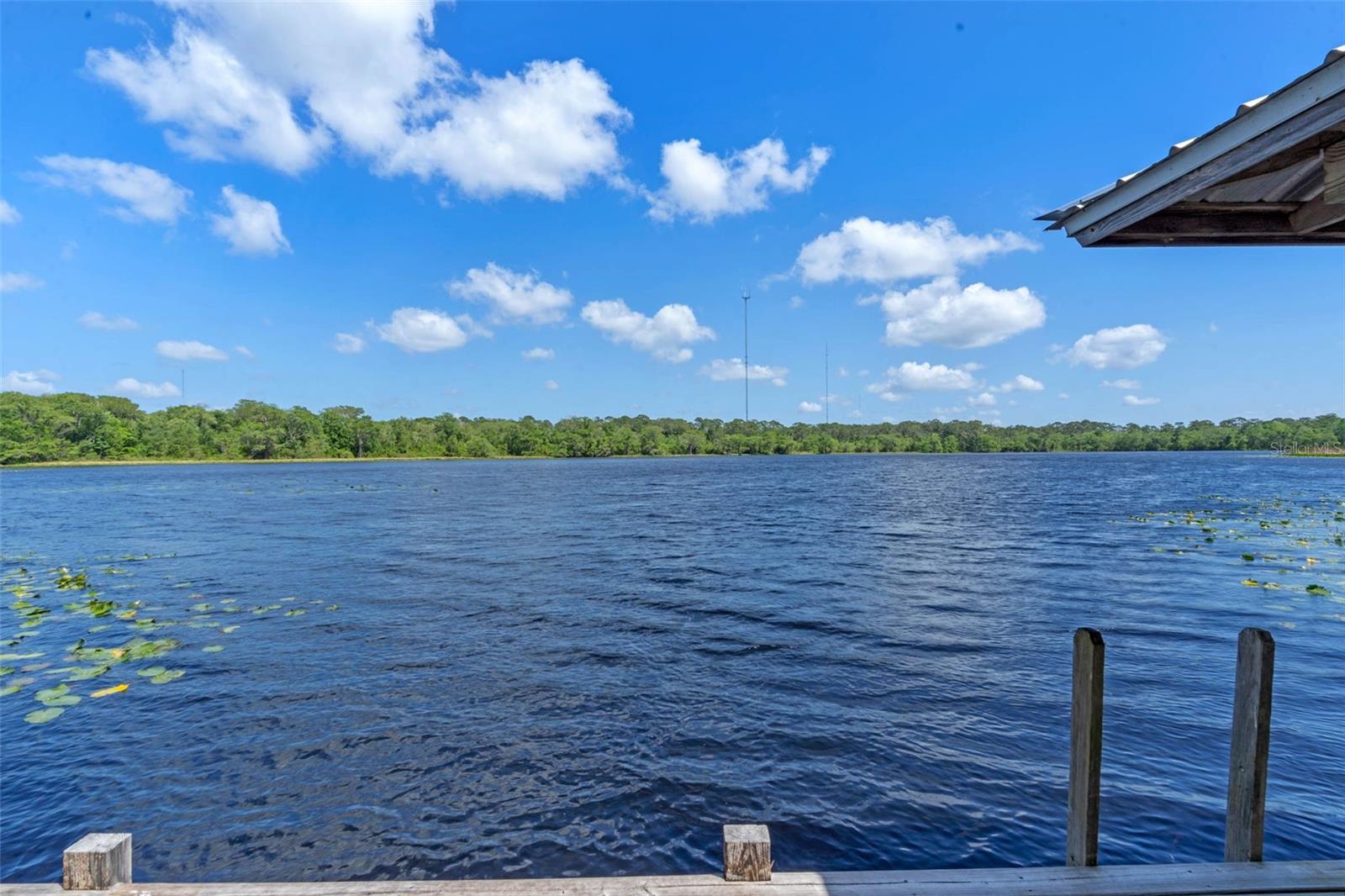 18618 LAKE PICKETT RD, ORLANDO, FL, 32820