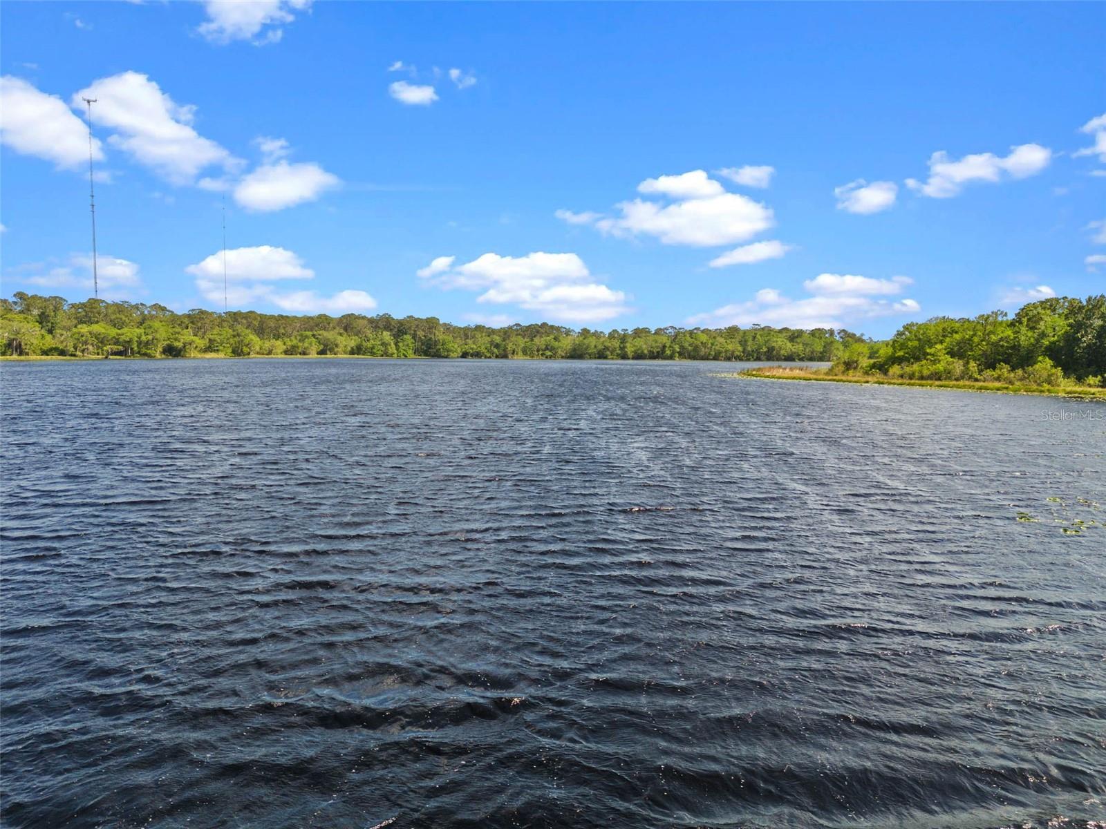 18618 LAKE PICKETT RD, ORLANDO, FL, 32820