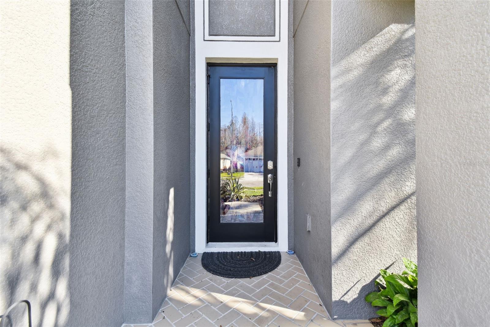 3030 TRINITY COTTAGE DR, LAND O LAKES, FL, 34638