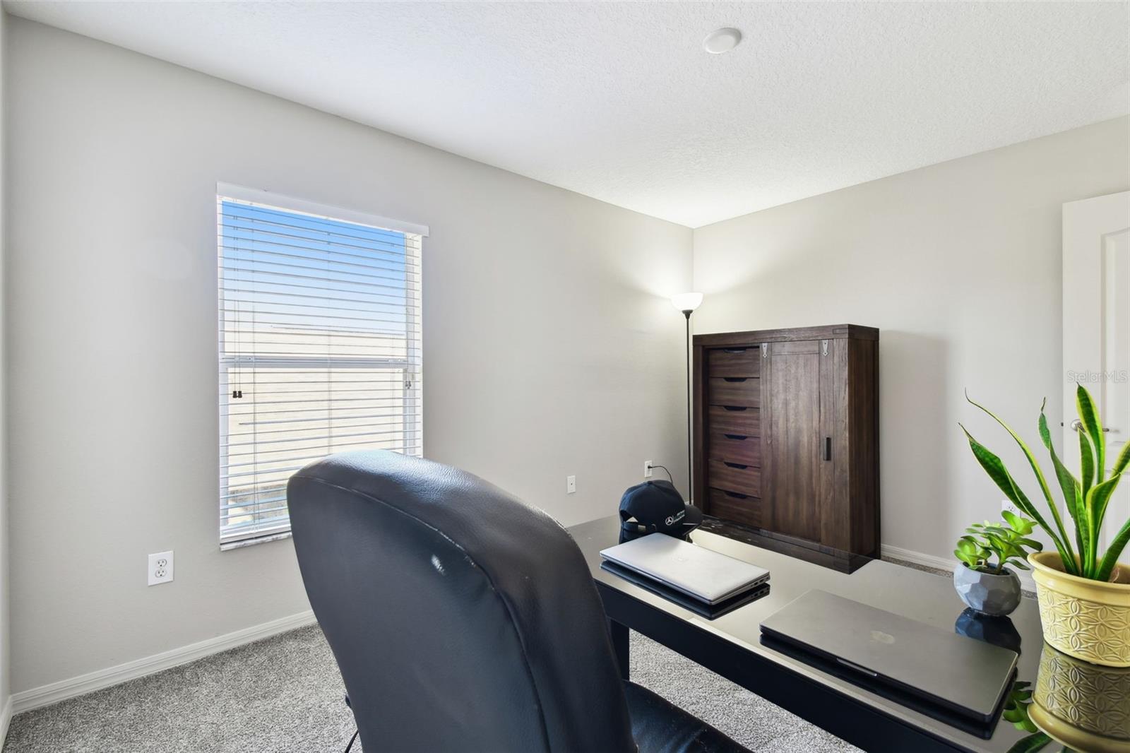 3030 TRINITY COTTAGE DR, LAND O LAKES, FL, 34638