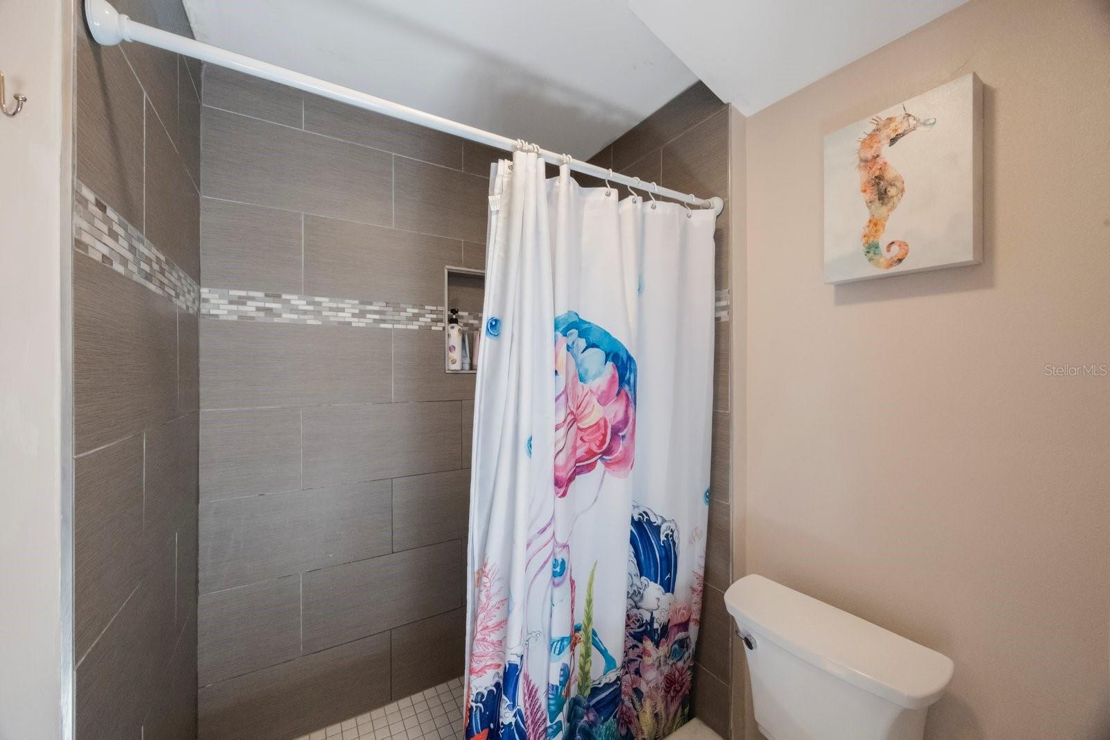 4926 CARDINAL TRL, PALM HARBOR, FL, 34683