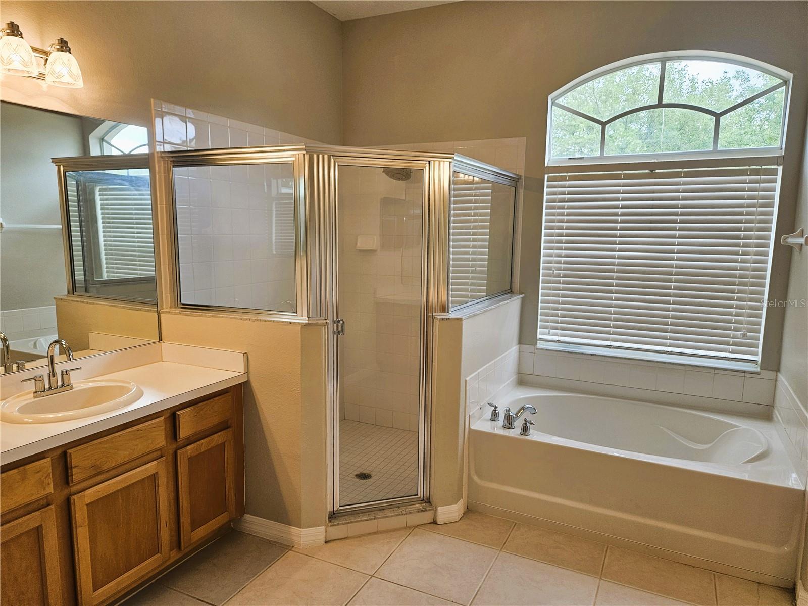 21144 TYRELL WAY, LAND O LAKES, FL, 34638