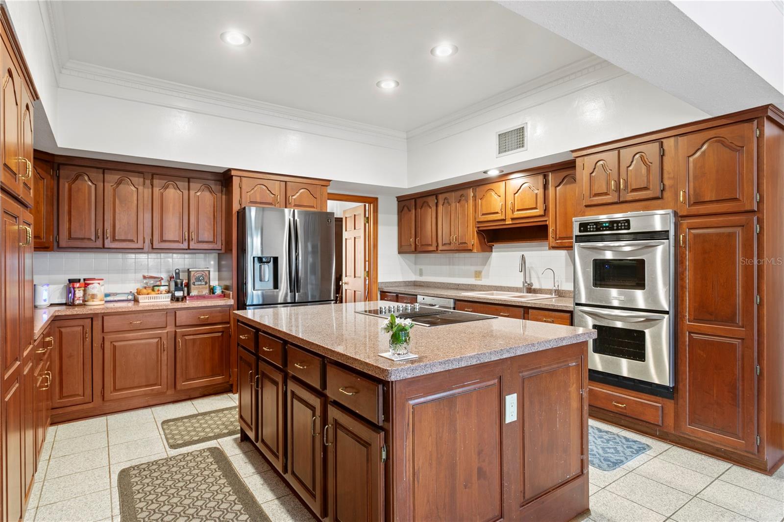 1203 PARRILLA DE AVILA, TAMPA, FL, 33613