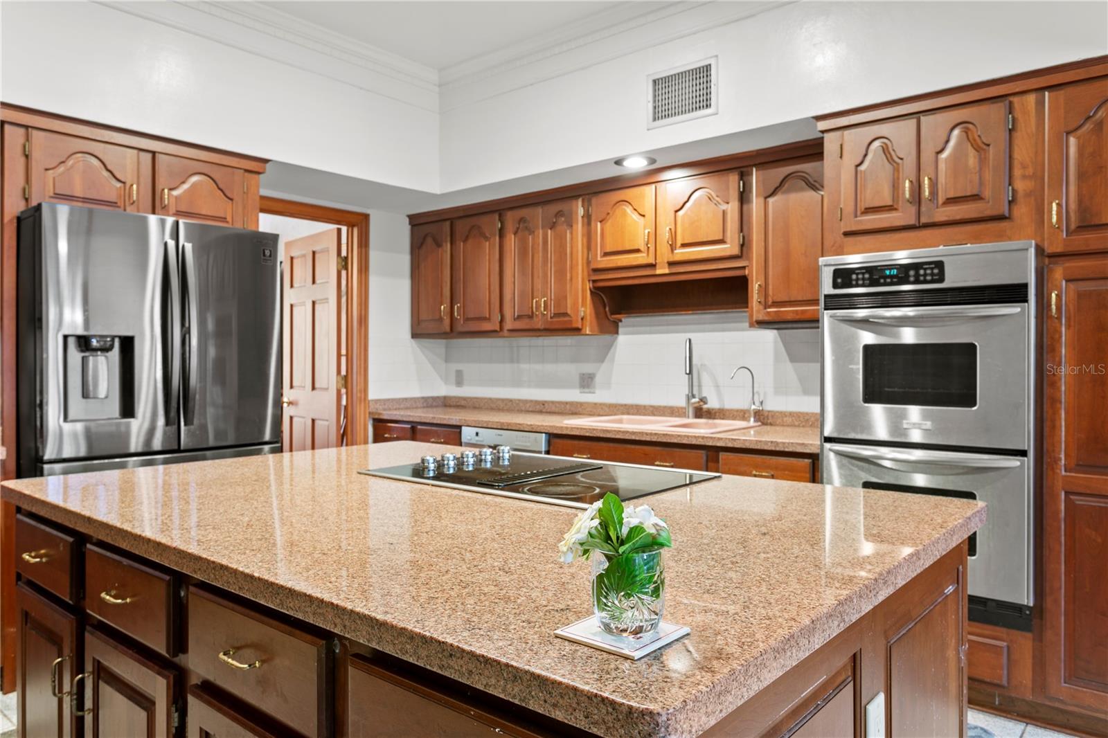 1203 PARRILLA DE AVILA, TAMPA, FL, 33613