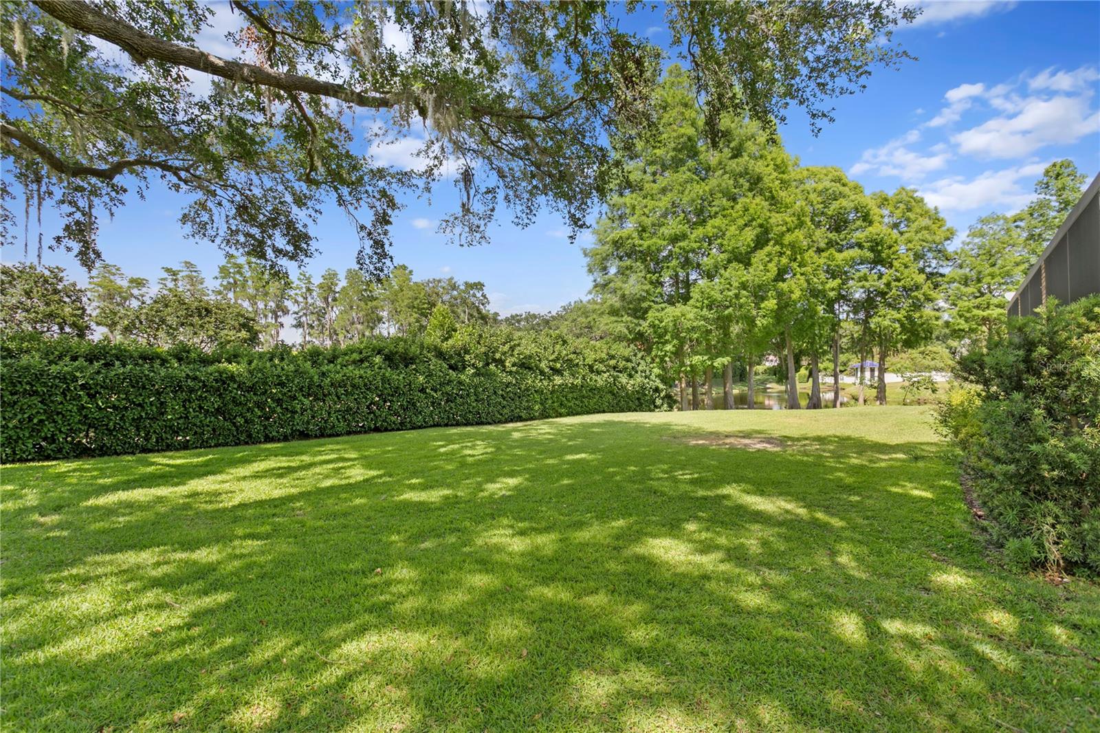 1203 PARRILLA DE AVILA, TAMPA, FL, 33613