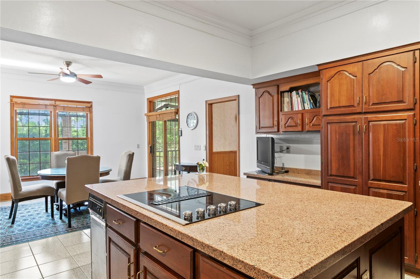 1203 PARRILLA DE AVILA, TAMPA, FL, 33613