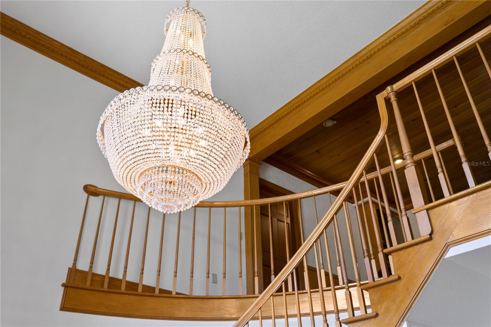 1203 PARRILLA DE AVILA, TAMPA, FL, 33613