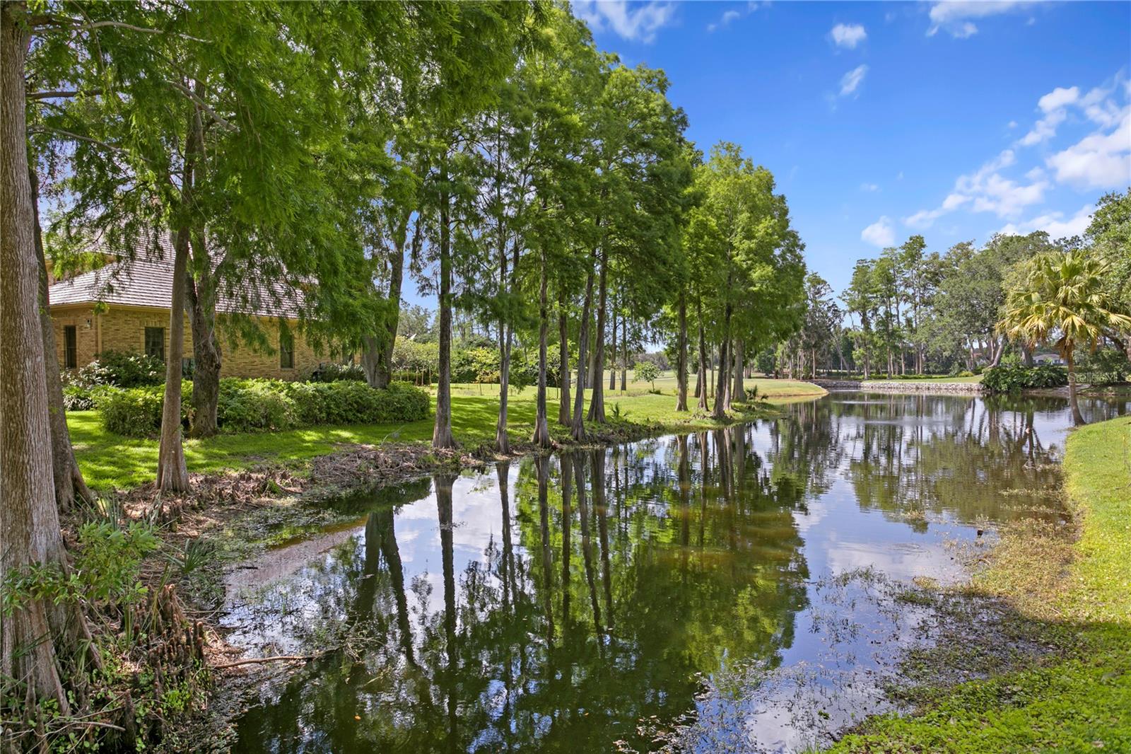 1203 PARRILLA DE AVILA, TAMPA, FL, 33613