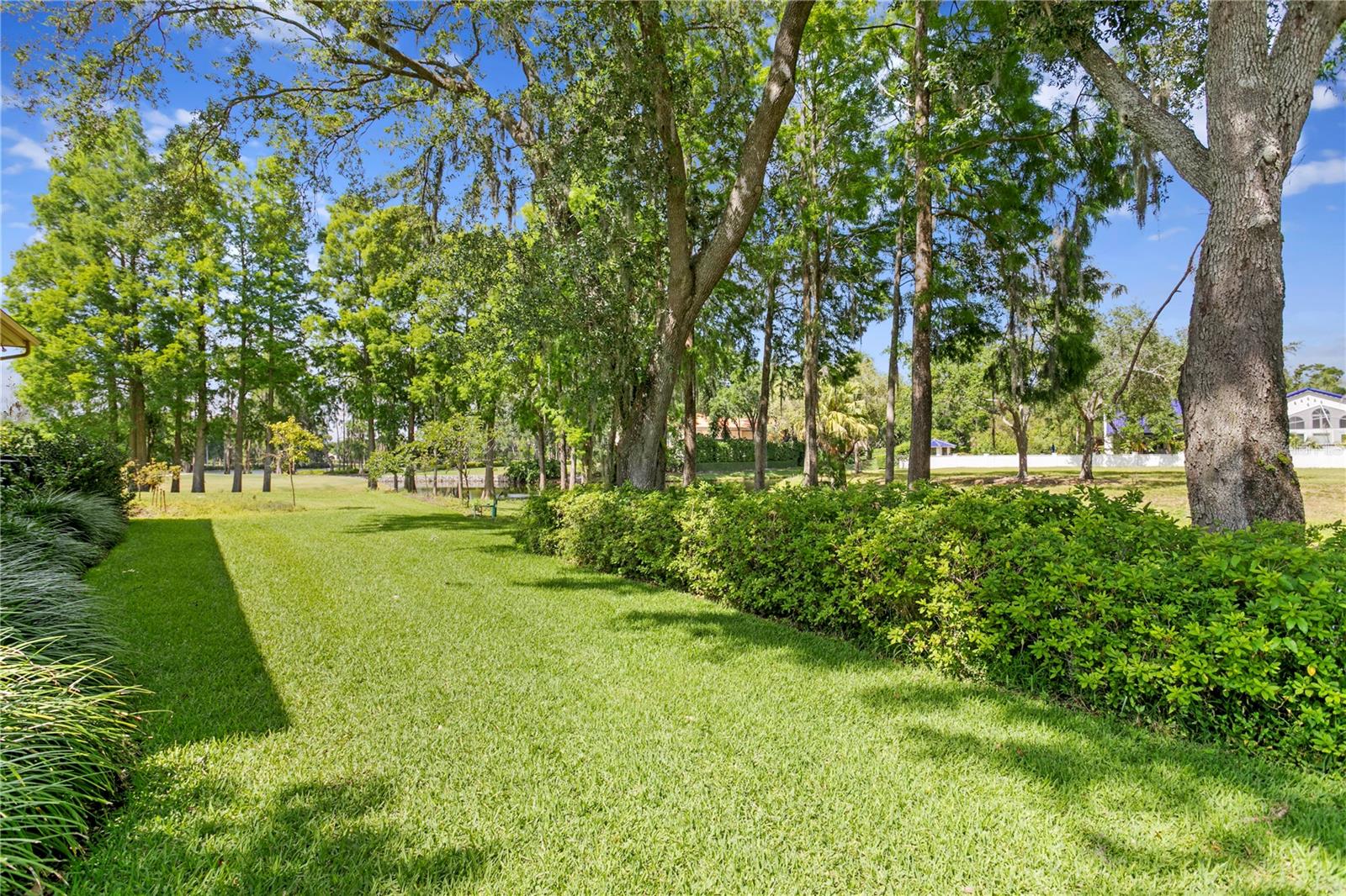 1203 PARRILLA DE AVILA, TAMPA, FL, 33613