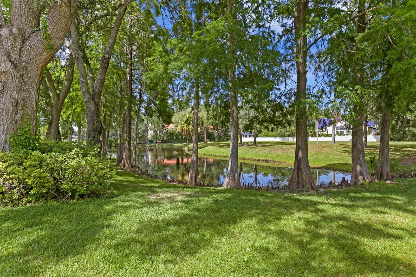 1203 PARRILLA DE AVILA, TAMPA, FL, 33613