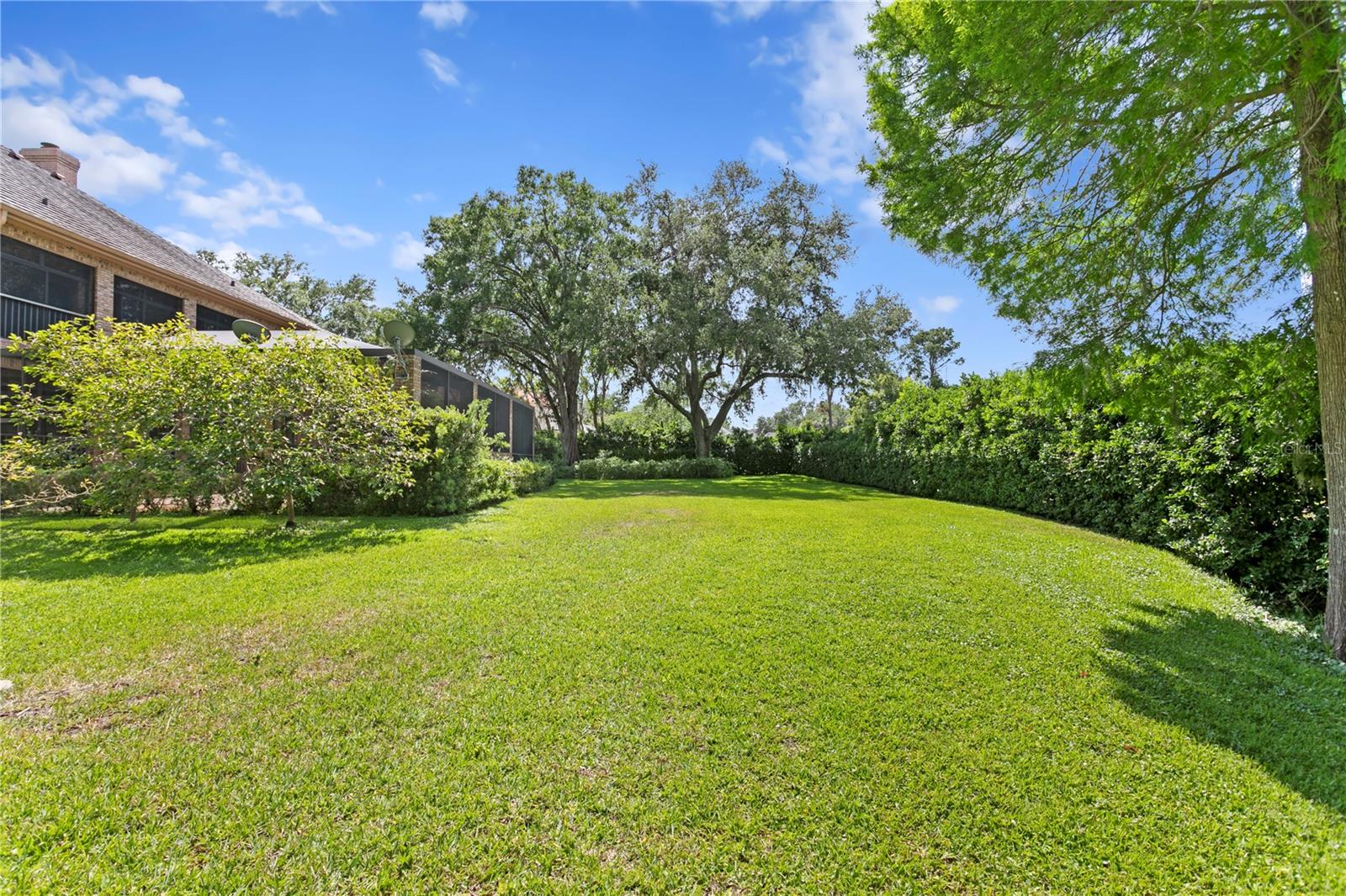 1203 PARRILLA DE AVILA, TAMPA, FL, 33613