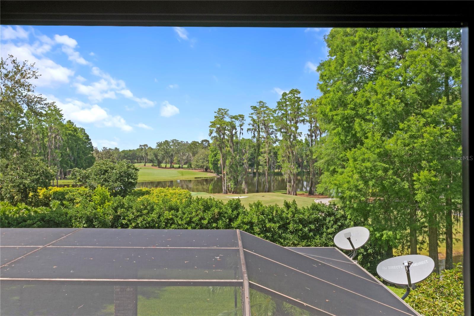 1203 PARRILLA DE AVILA, TAMPA, FL, 33613