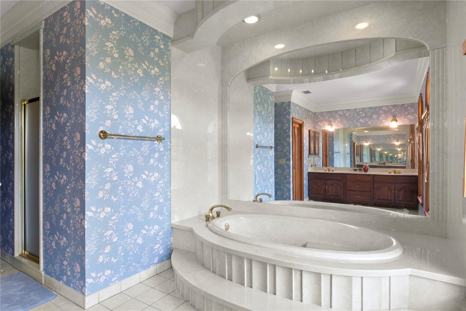 1203 PARRILLA DE AVILA, TAMPA, FL, 33613