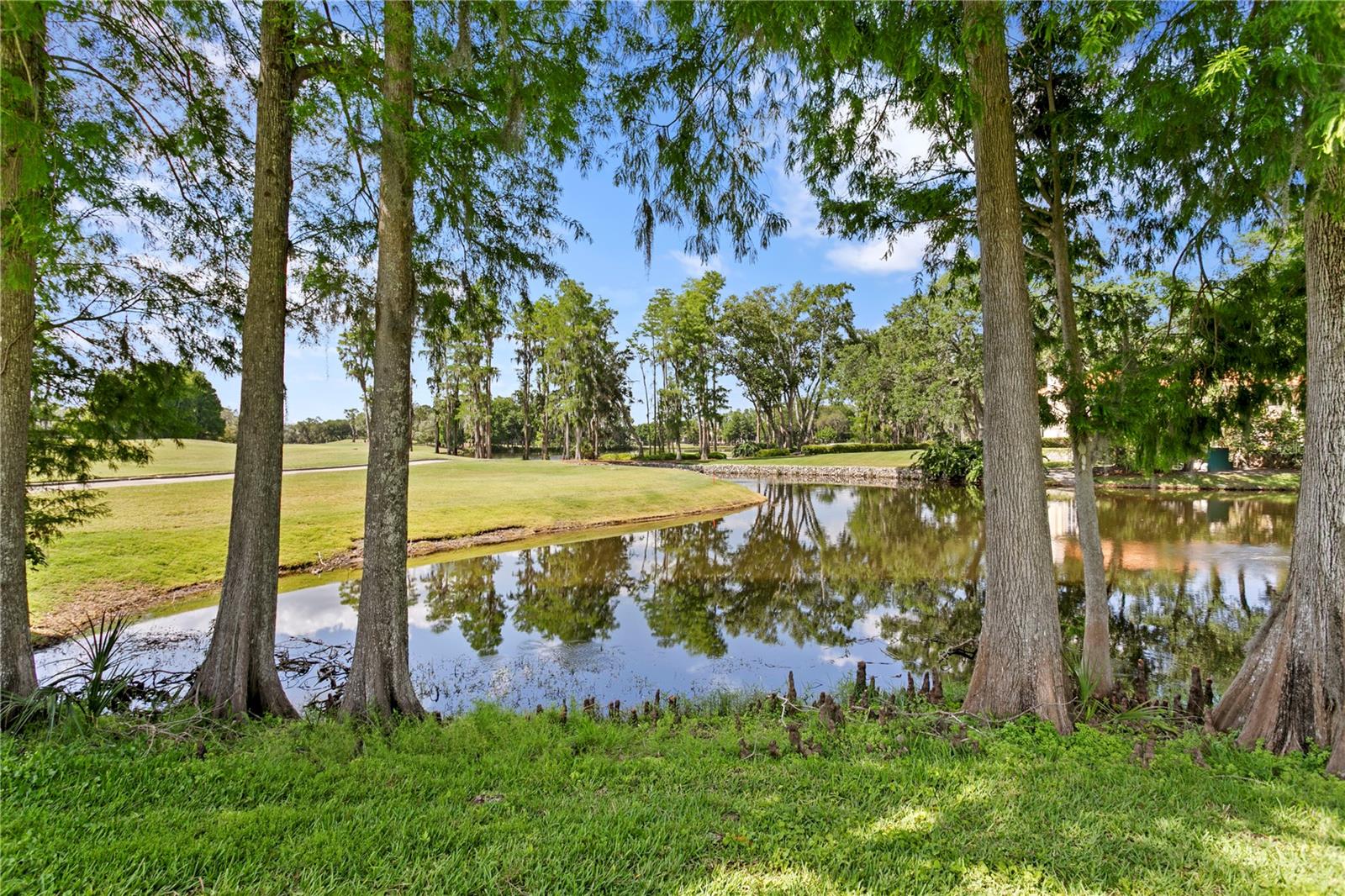 1203 PARRILLA DE AVILA, TAMPA, FL, 33613