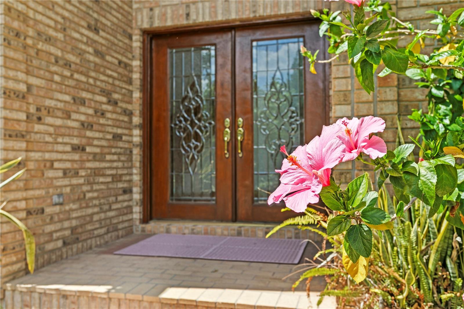 1203 PARRILLA DE AVILA, TAMPA, FL, 33613