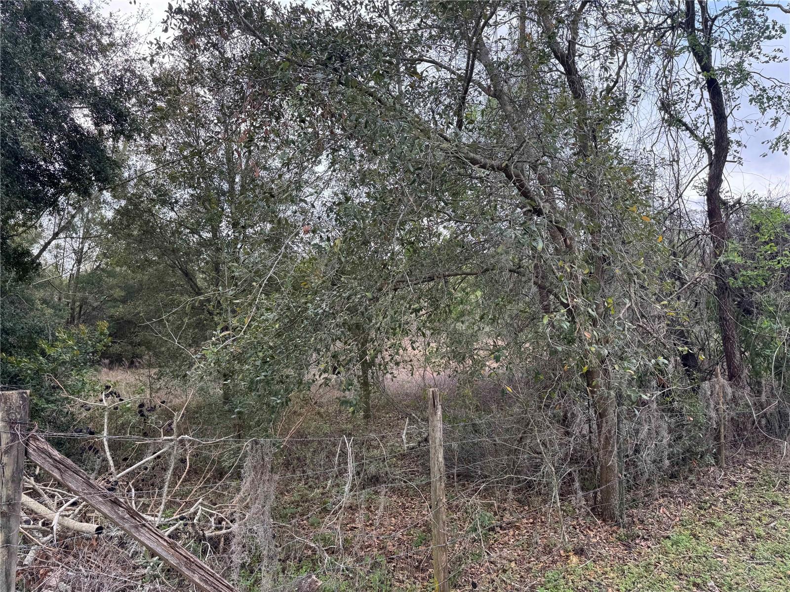 22 22-24-18-0000-00500-00B0 HWY, SPRING HILL, FL, 34610