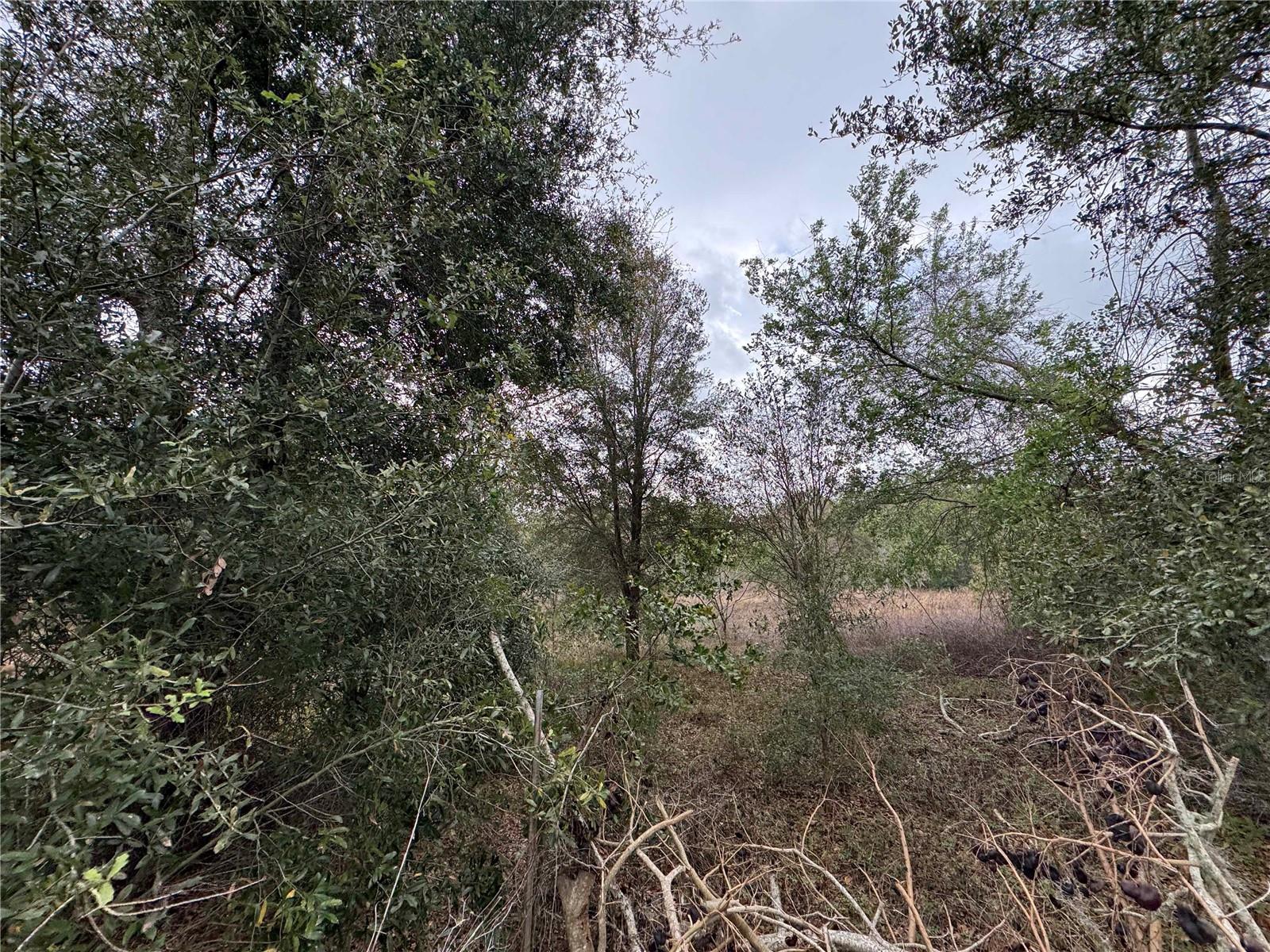 22 22-24-18-0000-00500-00B0 HWY, SPRING HILL, FL, 34610