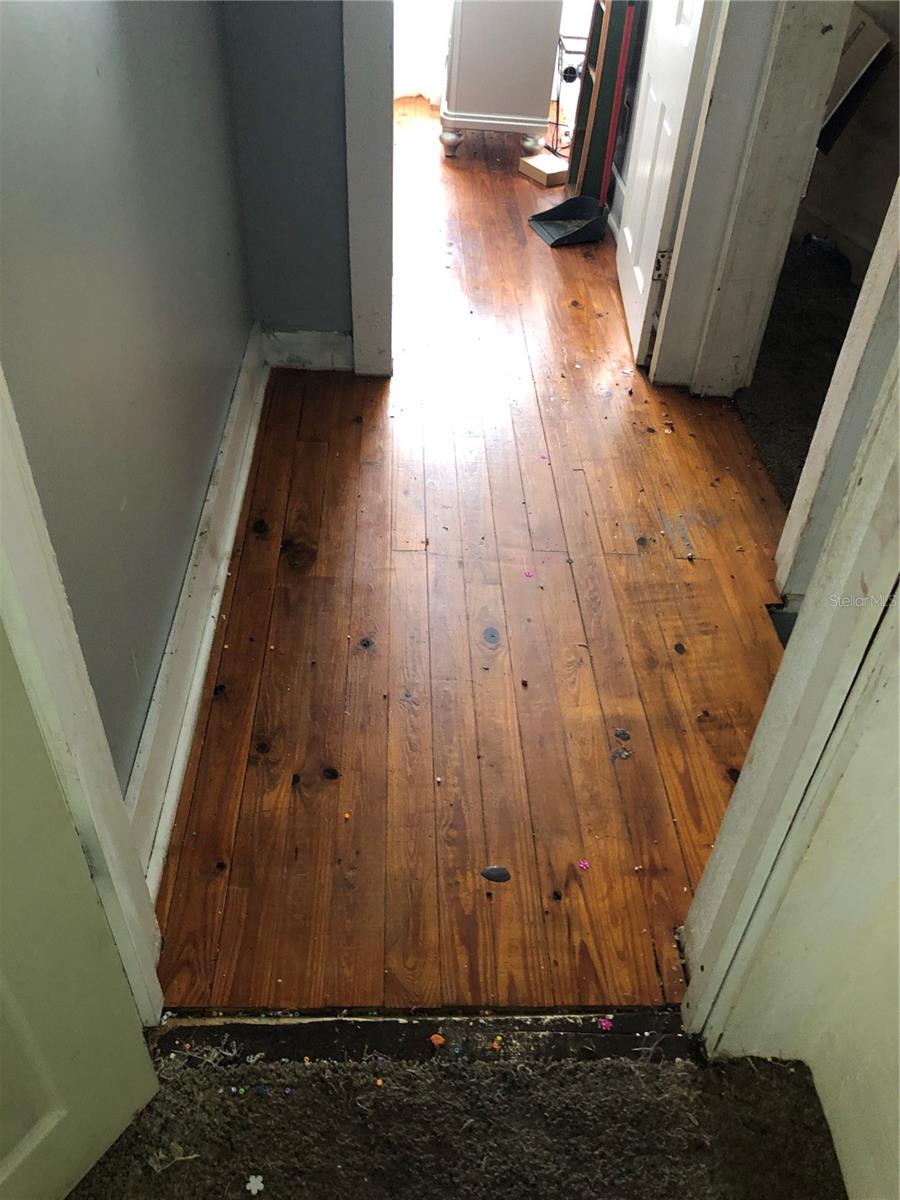 444 N LEMON AVE, BROOKSVILLE, FL, 34601