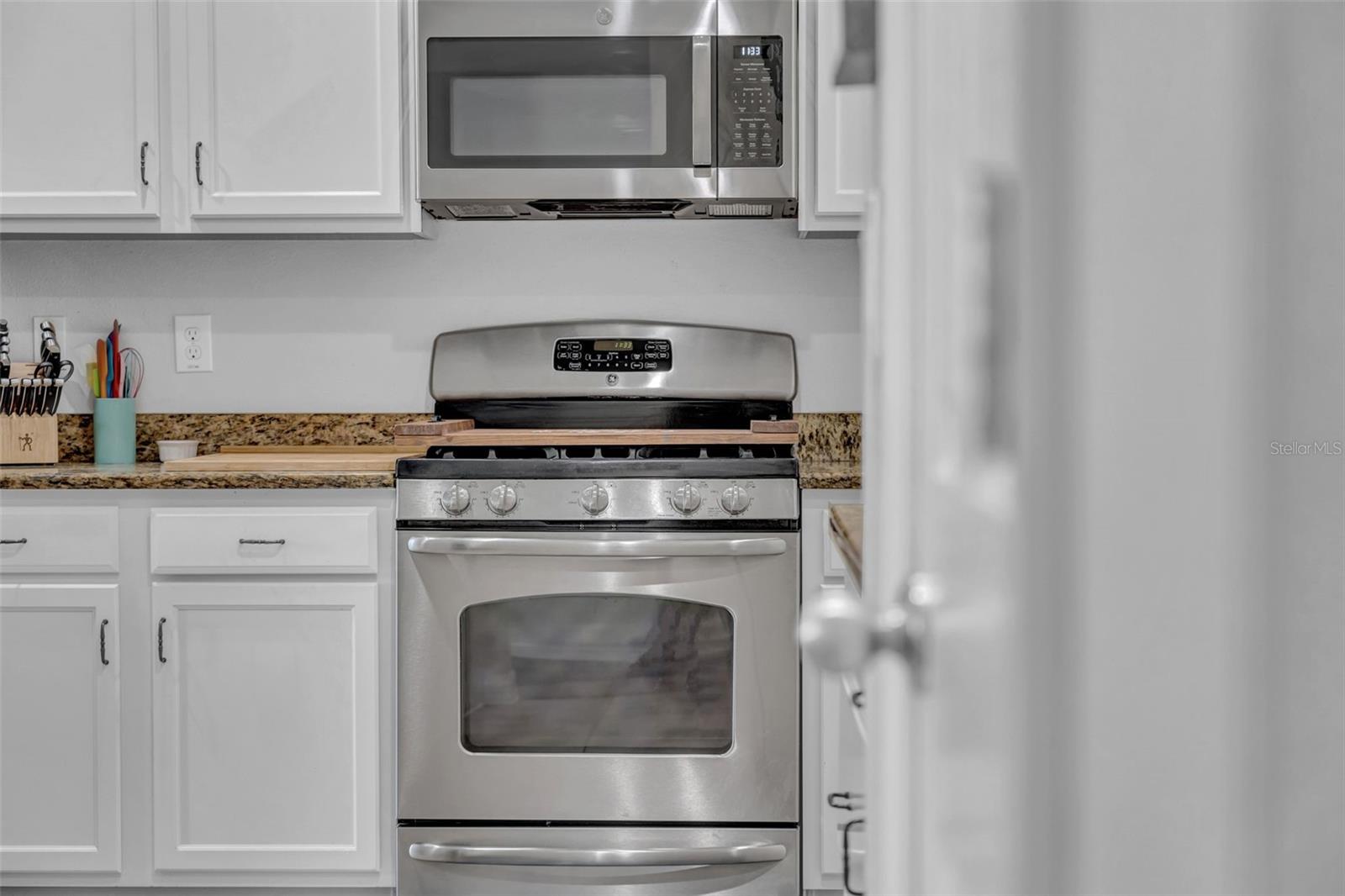 15861 STARLING WATER DR, LITHIA, FL, 33547