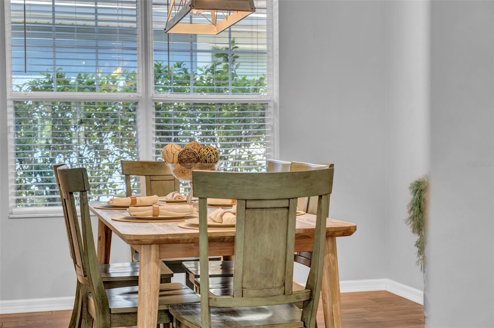 15861 STARLING WATER DR, LITHIA, FL, 33547