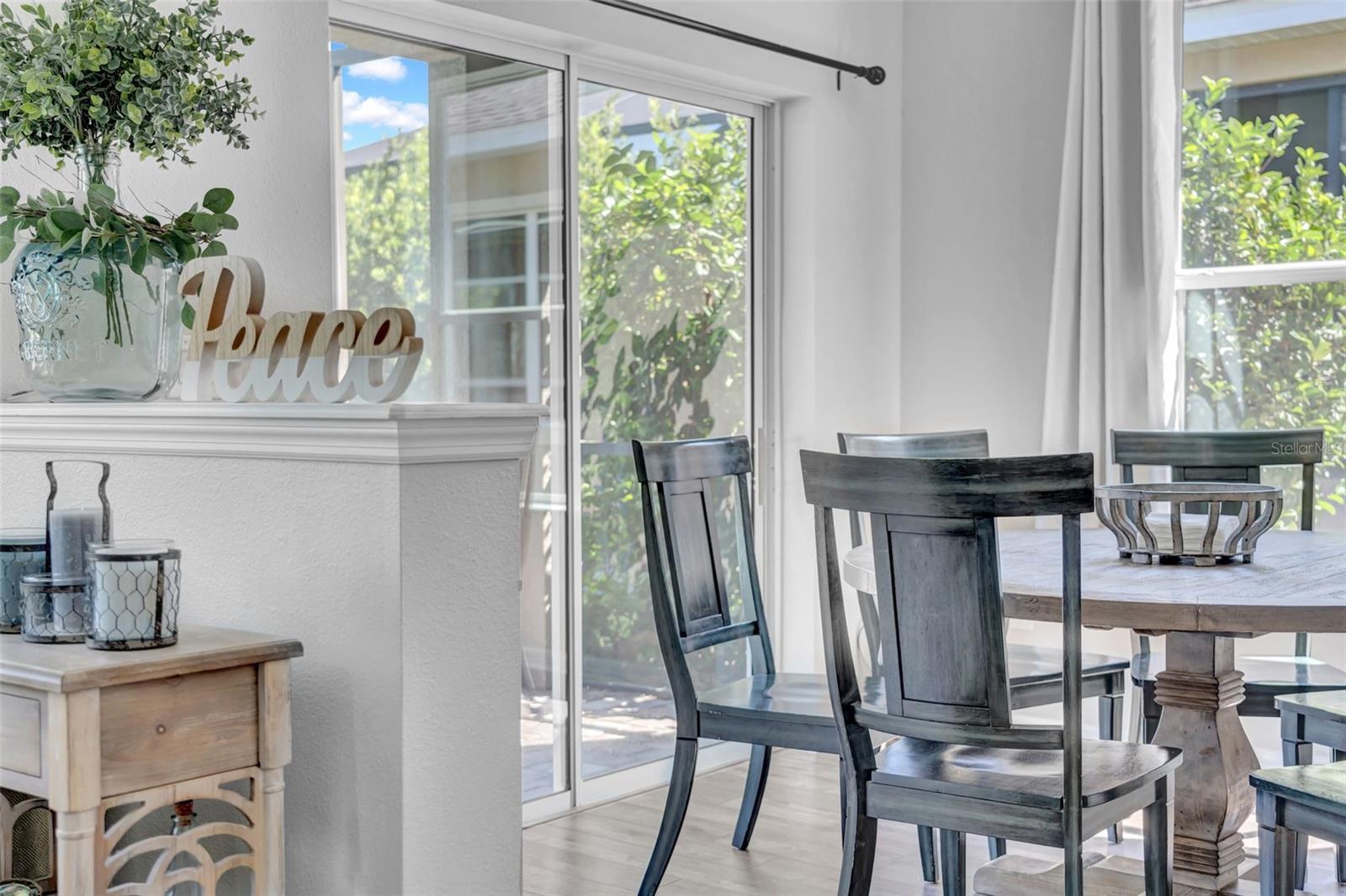 15861 STARLING WATER DR, LITHIA, FL, 33547