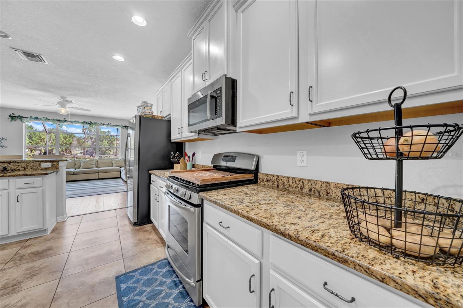 15861 STARLING WATER DR, LITHIA, FL, 33547