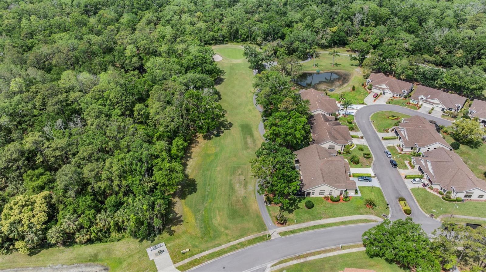 9215 GREEN PINES TER, NEW PORT RICHEY, FL, 34655