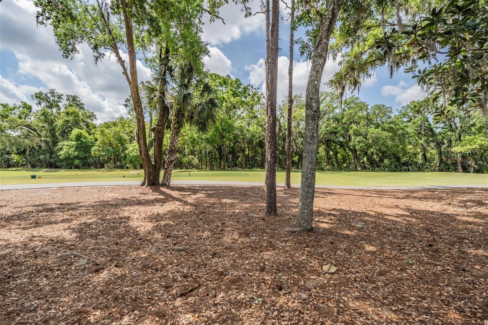 9215 GREEN PINES TER, NEW PORT RICHEY, FL, 34655