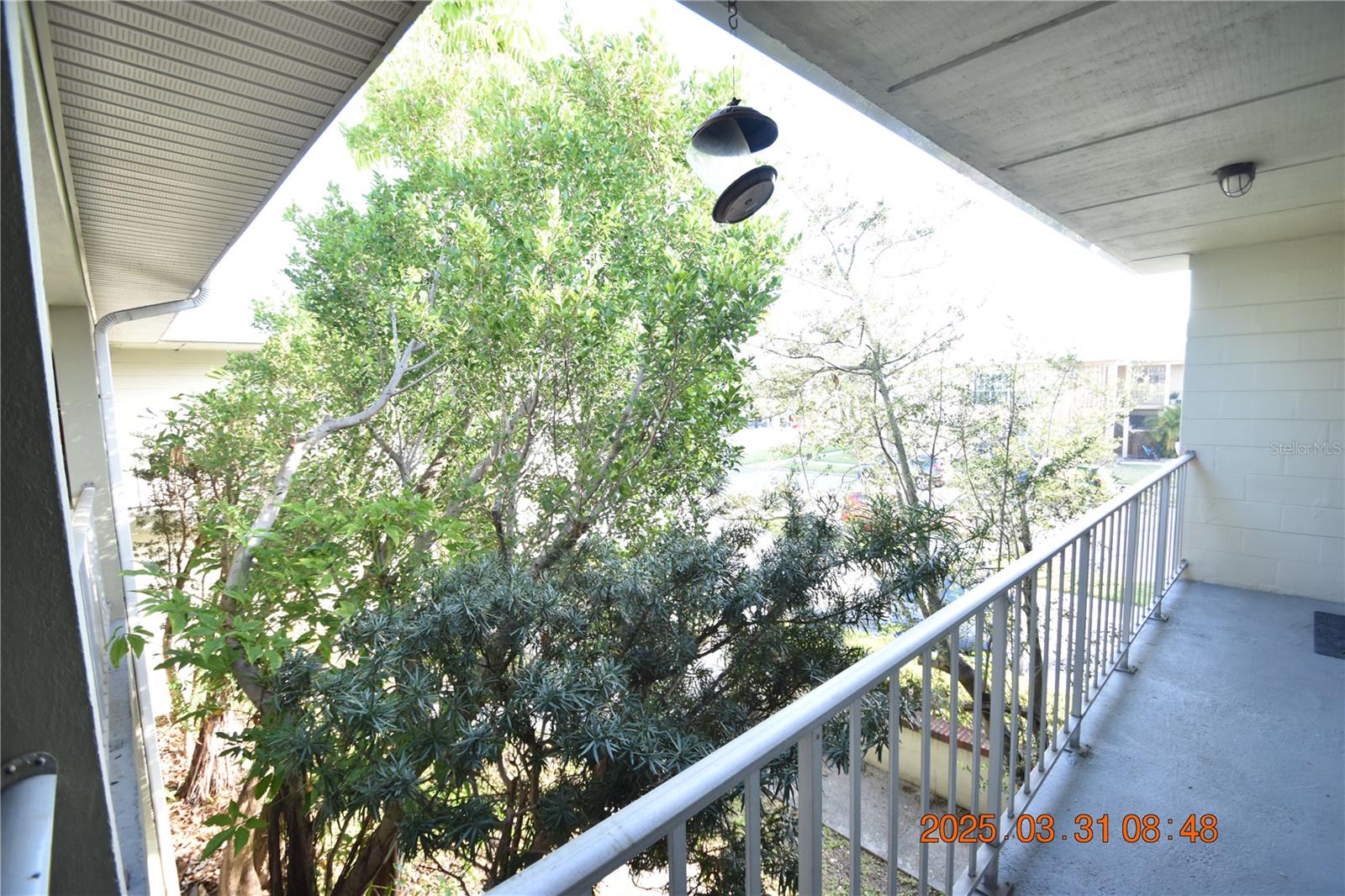 304 DANUBE AVE #11, TAMPA, FL, 33606